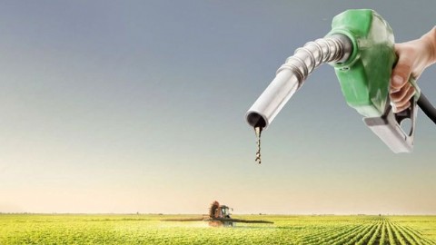 La Mesa de Enlace y la Cámara de Comercio se oponen a la nueva tasa a los combustibles del municipio