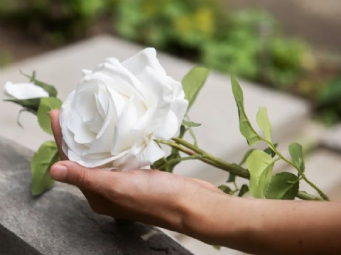 Falleció Emmanuel Palacios Barrios, a la edad de un año y tres meses