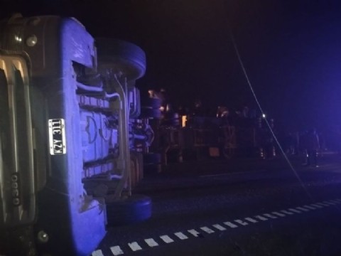 Violento vuelco en la Ruta 8: faenaron y robaron animales del camión siniestrado