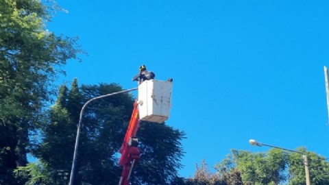 Barrio Belgrano ya cuenta con iluminación LED completa
