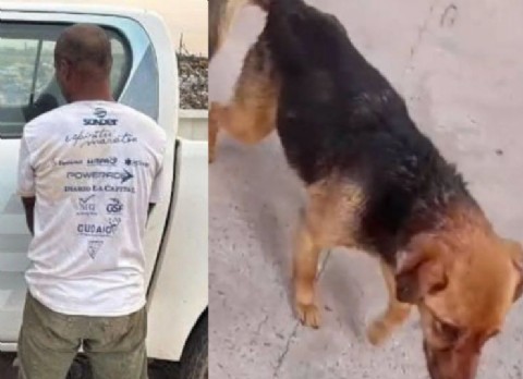 Se escapó del HIGA de Junín el degenerado que violó a una perrita en el basural: ya fue recapturado