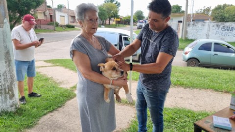 VIDEO | Vacunaron a más de 30 mascotas en una nueva jornada antirrábica