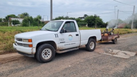 Durante el verano, el municipio refuerza el control de mosquitos con desinsectación en barrios y localidades
