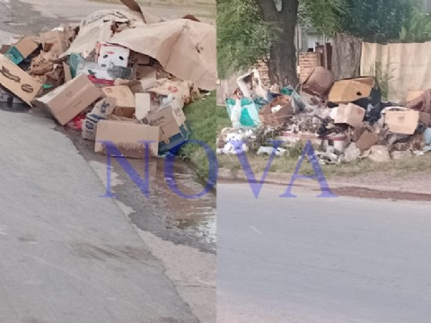 Basural a cielo abierto en barrio La Loma tras cuatro semanas sin recolección
