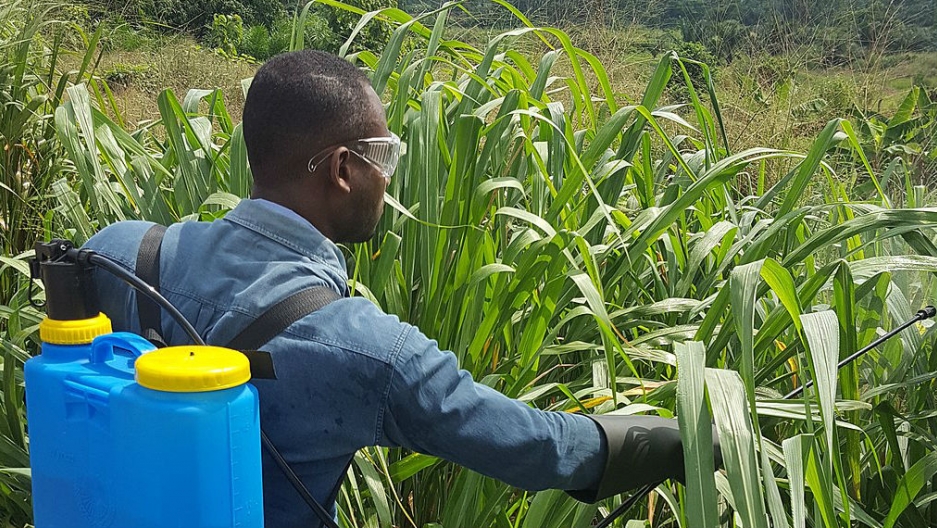 Glifosato: Monsanto se enfrenta a 2.400 demandas de víctimas con cáncer