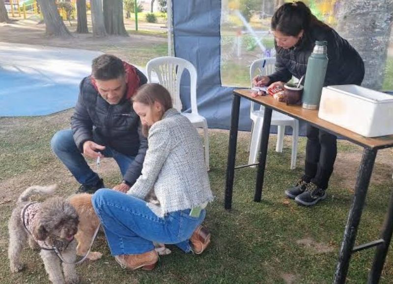 Harán una nueva jornada gratuita de vacunación antirrábica para perros y gatos en Ruta 188