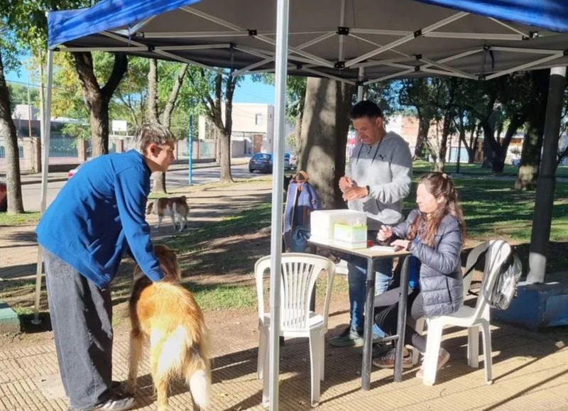 Realizarán una jornada gratuita de vacunación antirrábica para perros y gatos en barrio Unión
