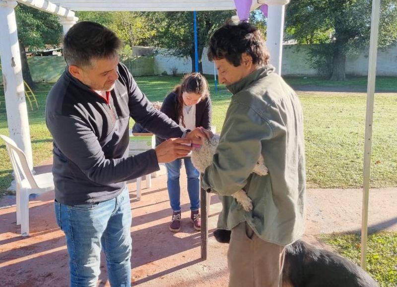 Continúa la campaña de vacunación antirrábica gratuita en espacios públicos