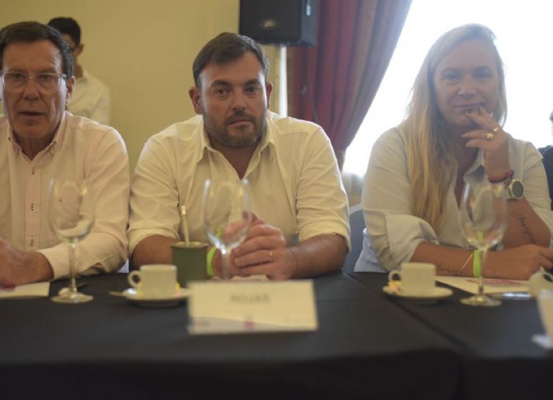 Atrasos en pagos de IOMA y la posible eliminación de Remediar: los planteos de Bouvier en el Congreso de Salud