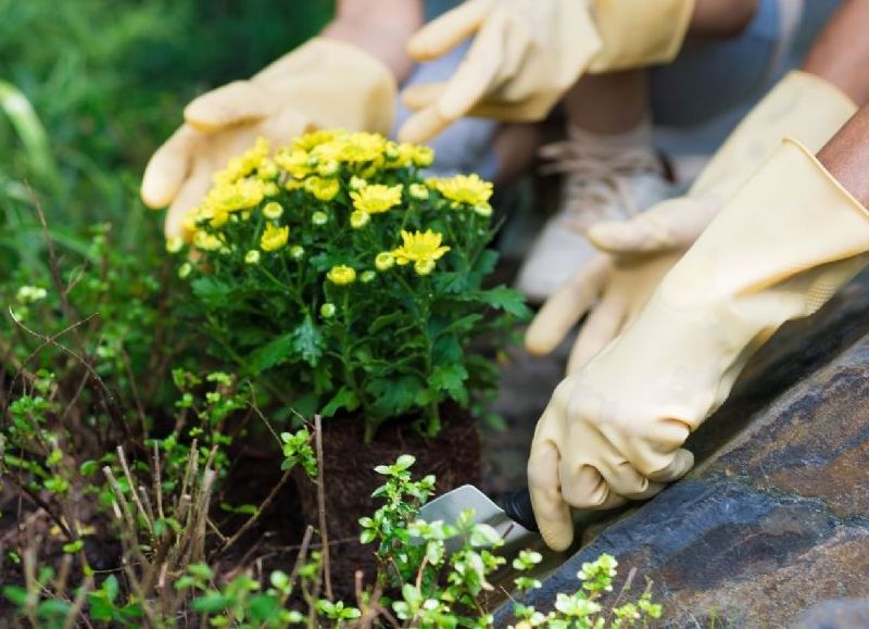 El municipio invita a los vecinos a un seminario gratuito sobre flores y aromas naturales