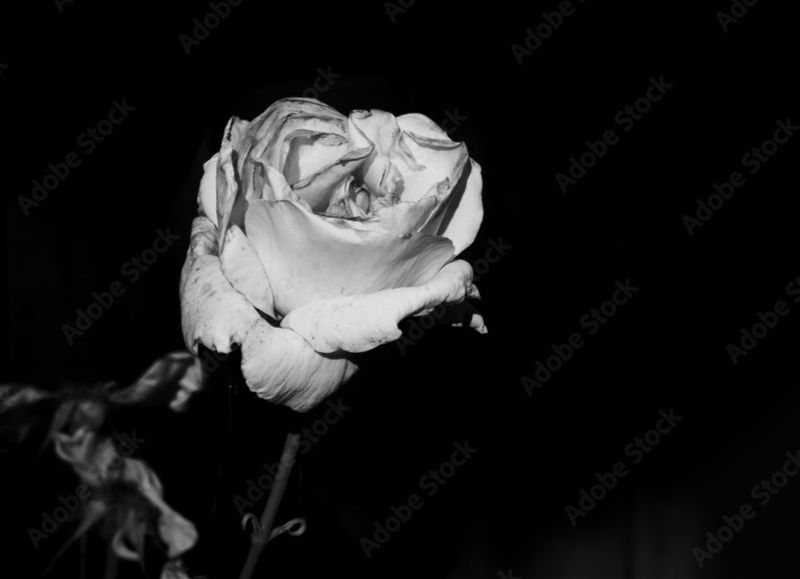 Triste adiós para Erasmo Ramón Verón