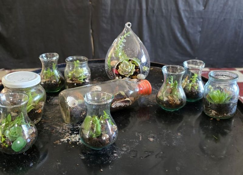 Habrá un seminario de jardinería especial por el Día del Padre