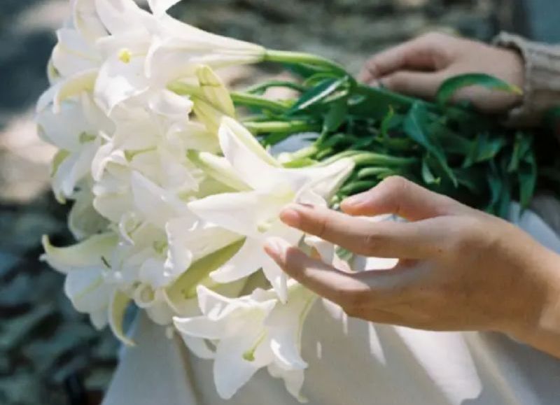 Leonor De Placido, viuda de Colombi