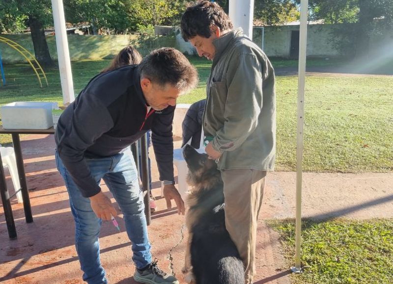 Vacunación antirrábica gratuita: habrá nueva jornada para perros y gatos en barrio Covendiar