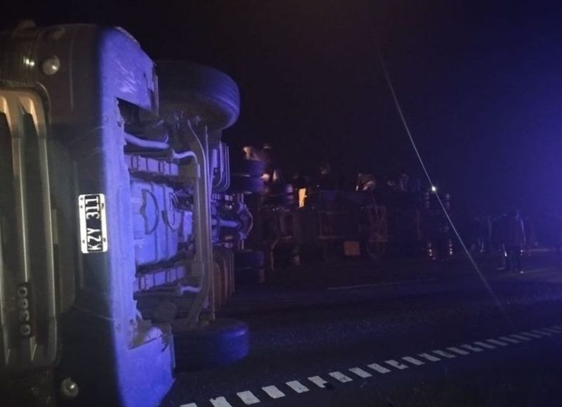 Violento vuelco en la Ruta 8: faenaron y robaron animales del camión siniestrado