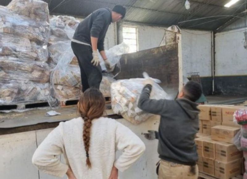 VIDEO | Desarrollo Social entregó alimentos donados por Granix a instituciones locales