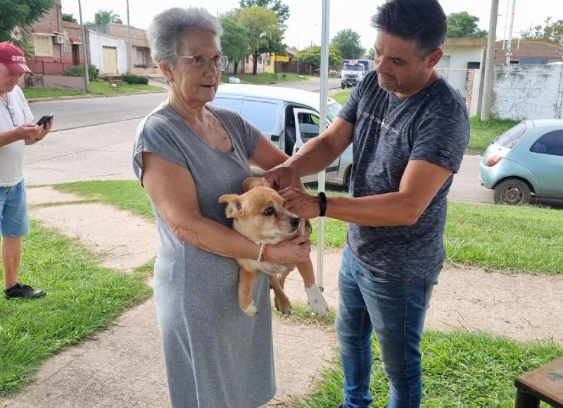 VIDEO | Vacunaron a más de 30 mascotas en una nueva jornada antirrábica