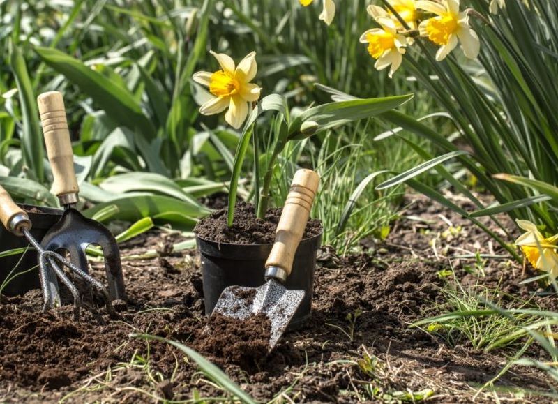 El municipio impulsa un taller gratuito de jardinería y huerta orgánica en el CIC del barrio Progreso