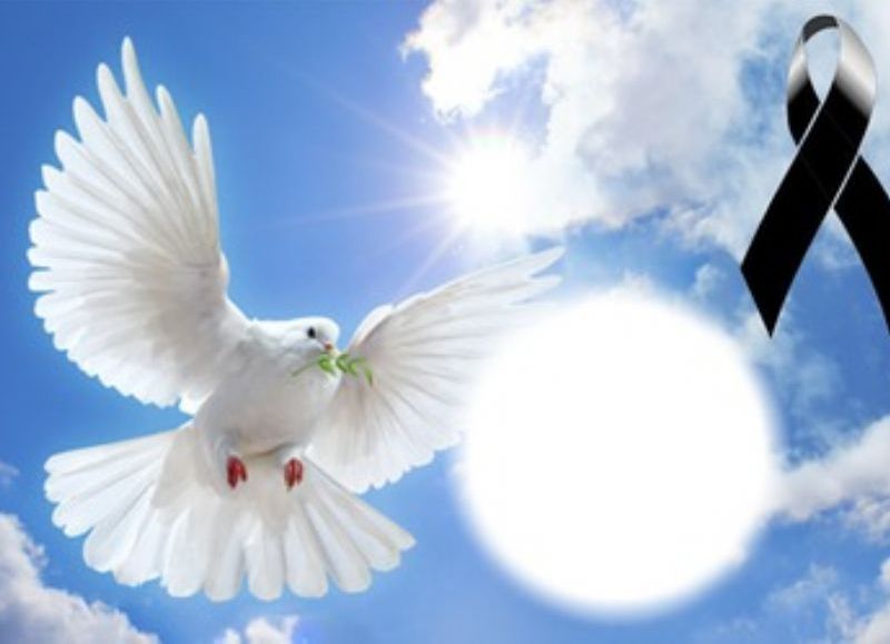 Elsa Florencia Becerro de Gimenez