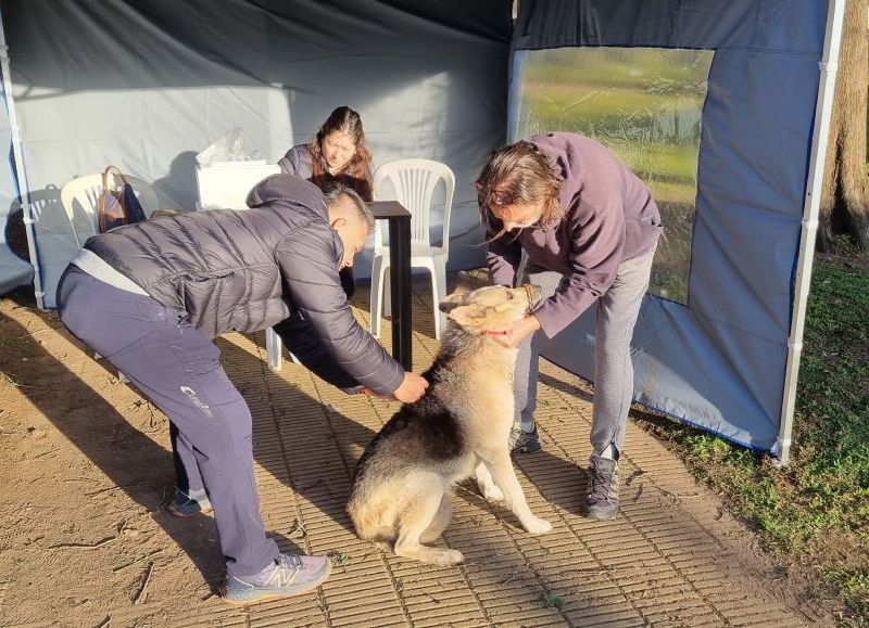 Se realizó una jornada de vacunación antirrábica gratuita en la plaza Moreno