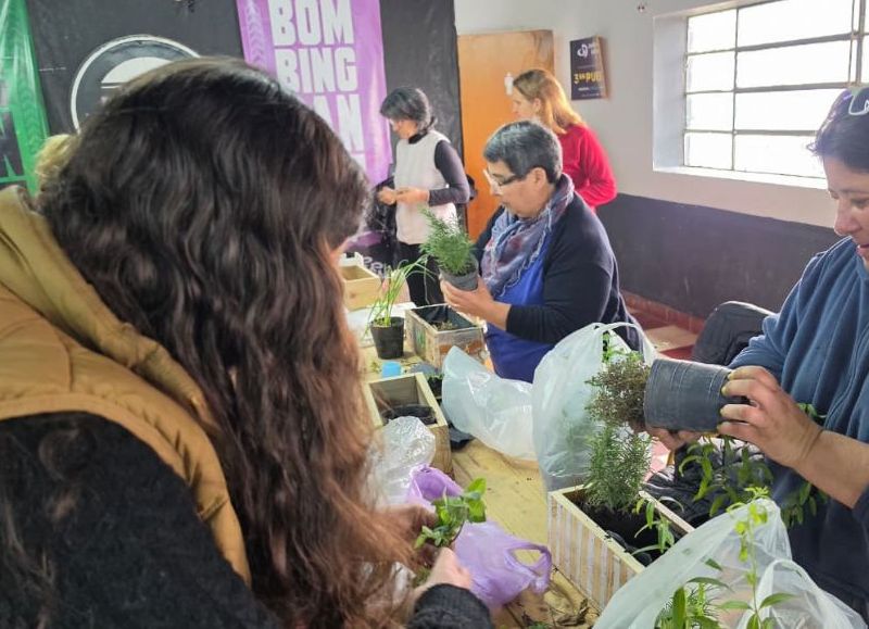 El Municipio organiza un taller gratuito de jardinería por el Día del Amigo