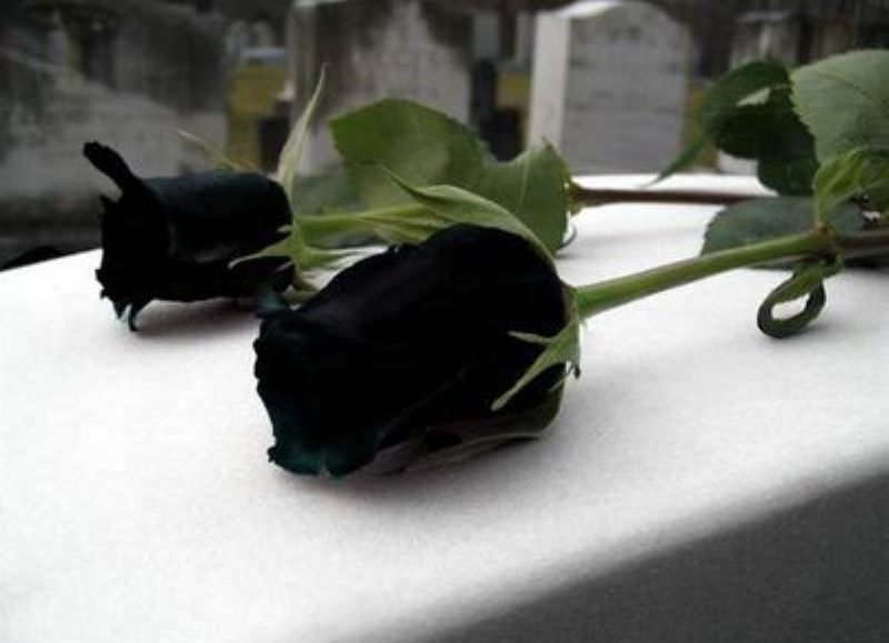 Conmoción por la partida de María Luisa Álvarez