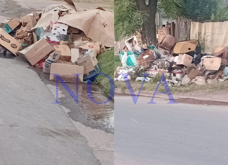 Basural a cielo abierto en barrio La Loma tras cuatro semanas sin recolección