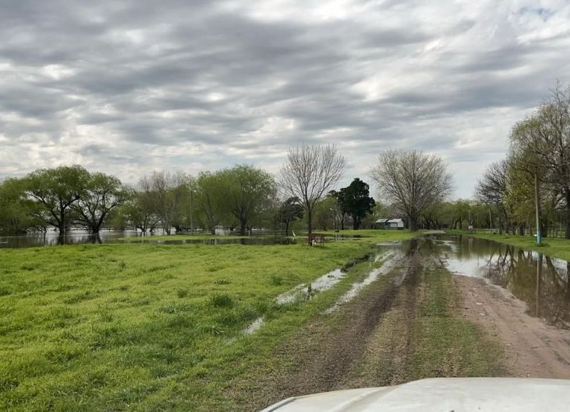 El río volvió a cubrir parte del Club de Pescadores