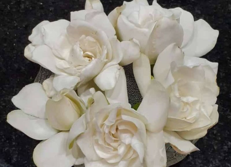 Hasta siempre Luis Hugo Traverso