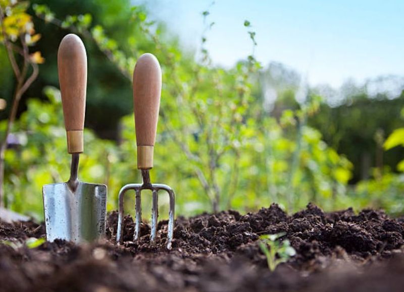 El Municipio tendrá un cierre especial del ciclo de jardinería con seminarios gratuitos este sábado