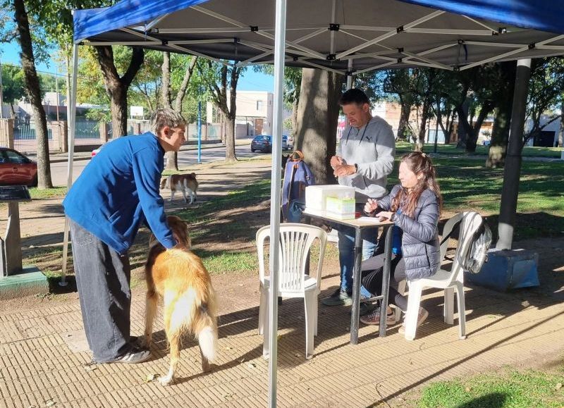 Reprogramaron la vacunación antirrábica en barrio Belgrano